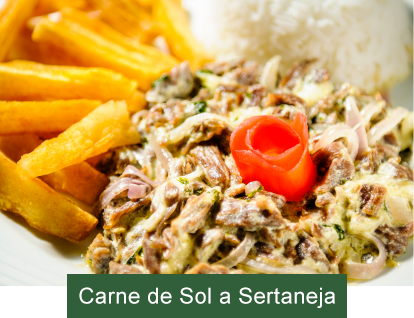 imagem ilustrativa de carne de sol